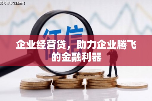 陆川企业经营贷，助力企业腾飞的金融利器