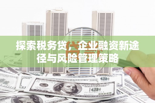 陆川探索税务贷，企业融资新途径与风险管理策略