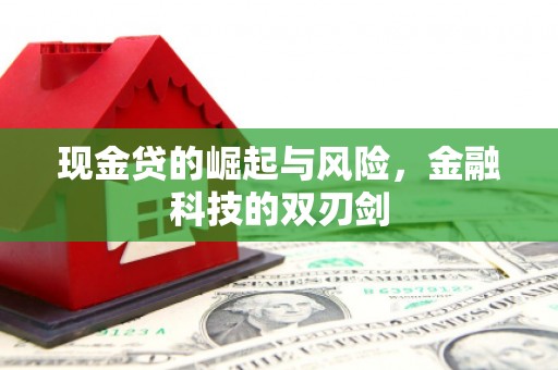 陆川现金贷的崛起与风险，金融科技的双刃剑