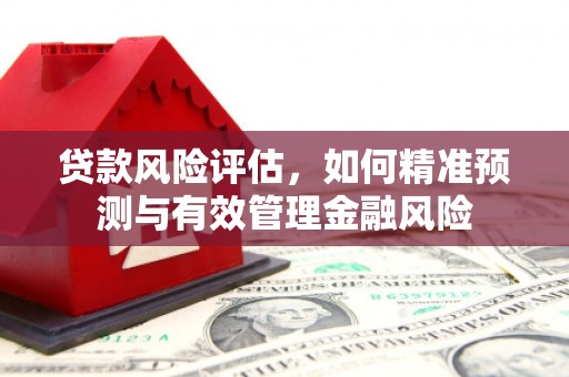 陆川贷款风险评估，如何精准预测与有效管理金融风险