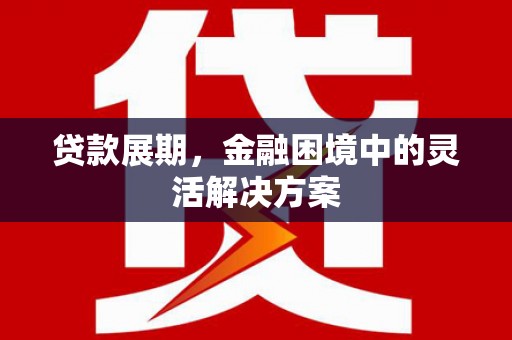陆川贷款展期，金融困境中的灵活解决方案