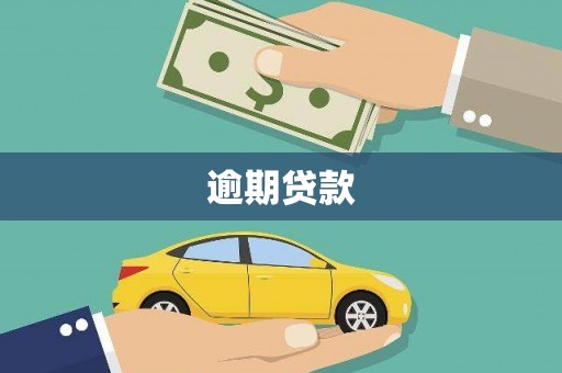 陆川逾期贷款