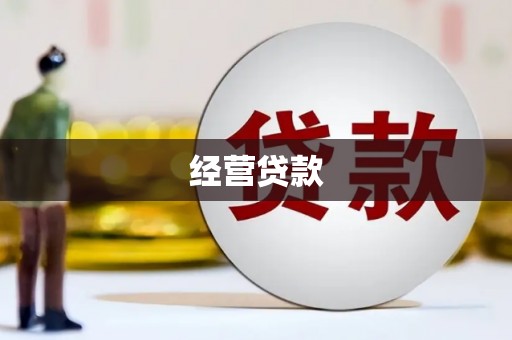 陆川经营贷款