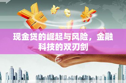 陆川现金贷的崛起与风险，金融科技的双刃剑
