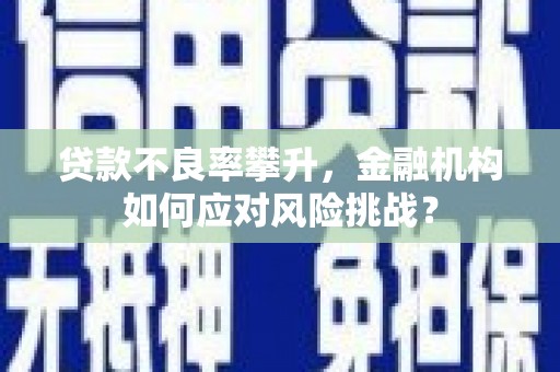陆川贷款不良率攀升，金融机构如何应对风险挑战？