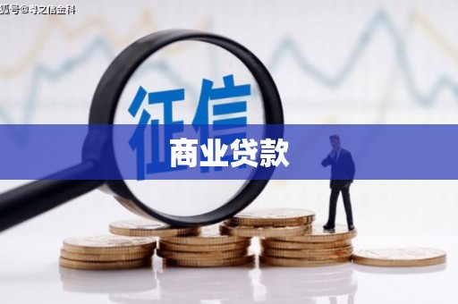 陆川商业贷款
