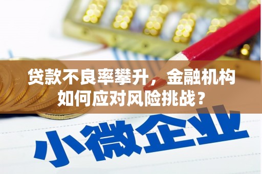 陆川贷款不良率攀升，金融机构如何应对风险挑战？