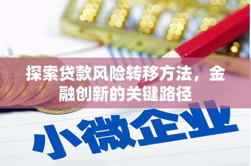 陆川探索贷款风险转移方法，金融创新的关键路径