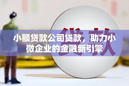 陆川小额贷款公司贷款，助力小微企业的金融新引擎