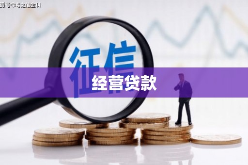 陆川经营贷款