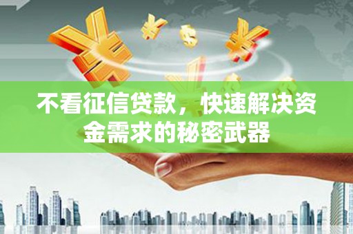 陆川不看征信贷款，快速解决资金需求的秘密武器