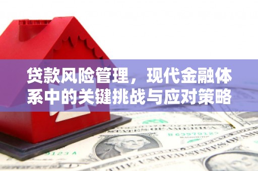 陆川贷款风险管理，现代金融体系中的关键挑战与应对策略