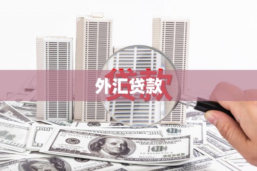 陆川外汇贷款