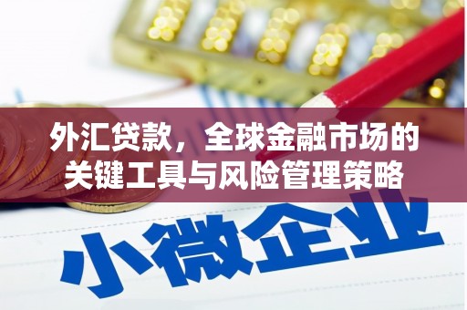 陆川外汇贷款，全球金融市场的关键工具与风险管理策略