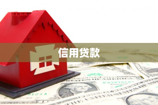 陆川信用贷款