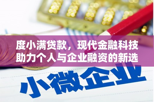 陆川度小满贷款，现代金融科技助力个人与企业融资的新选择