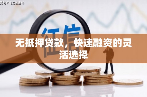 陆川无抵押贷款，快速融资的灵活选择
