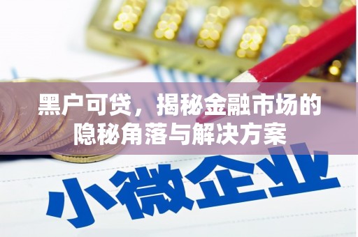 陆川黑户可贷，揭秘金融市场的隐秘角落与解决方案