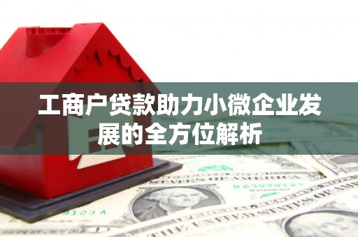 陆川工商户贷款助力小微企业发展的全方位解析