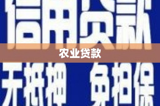 陆川农业贷款