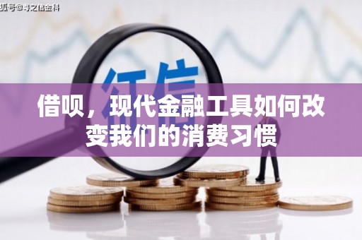 陆川借呗，现代金融工具如何改变我们的消费习惯