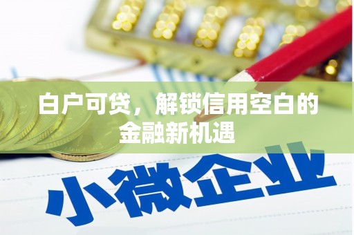 陆川白户可贷，解锁信用空白的金融新机遇