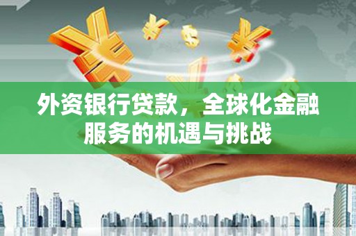 陆川外资银行贷款，全球化金融服务的机遇与挑战