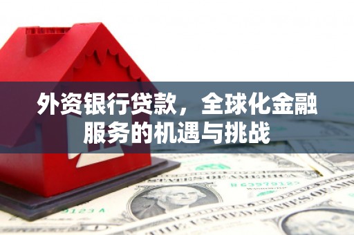 陆川外资银行贷款，全球化金融服务的机遇与挑战