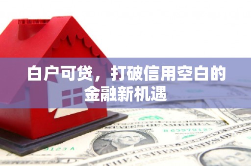 陆川白户可贷，打破信用空白的金融新机遇