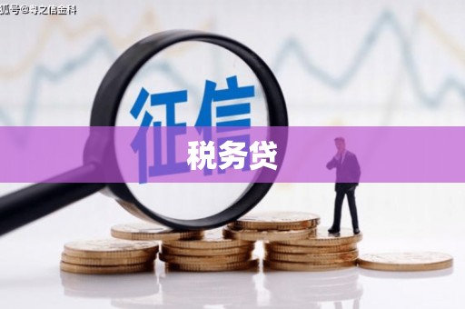 陆川税务贷