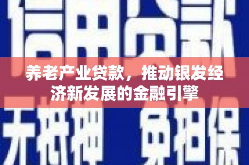 陆川养老产业贷款，推动银发经济新发展的金融引擎