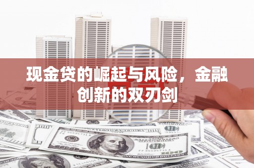陆川现金贷的崛起与风险，金融创新的双刃剑