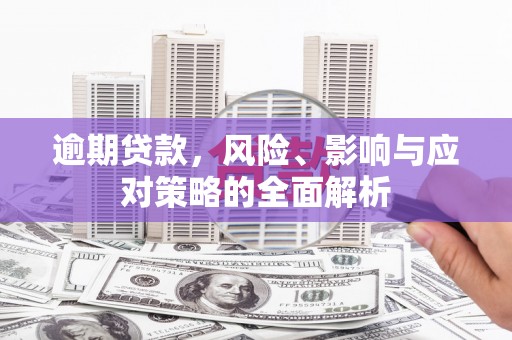 陆川逾期贷款，风险、影响与应对策略的全面解析