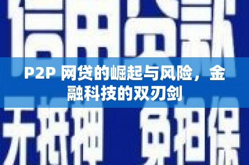 陆川P2P 网贷的崛起与风险，金融科技的双刃剑