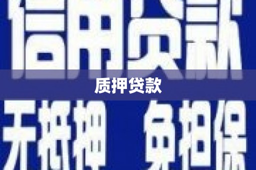 陆川质押贷款