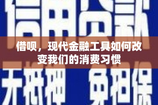 陆川借呗，现代金融工具如何改变我们的消费习惯
