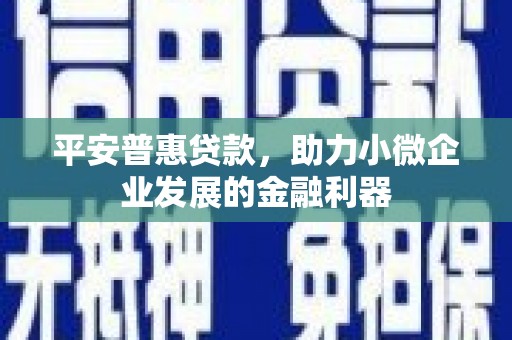 陆川平安普惠贷款，助力小微企业发展的金融利器