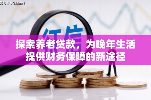 陆川探索养老贷款，为晚年生活提供财务保障的新途径