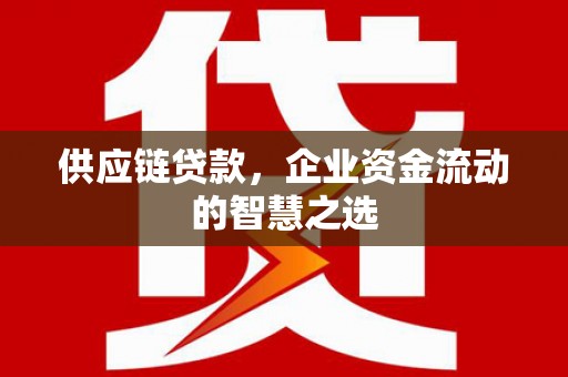 陆川供应链贷款，企业资金流动的智慧之选