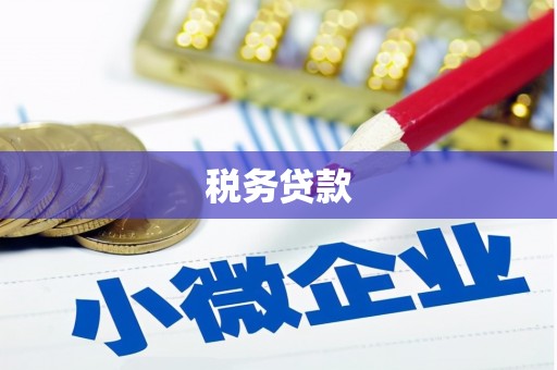 陆川税务贷款