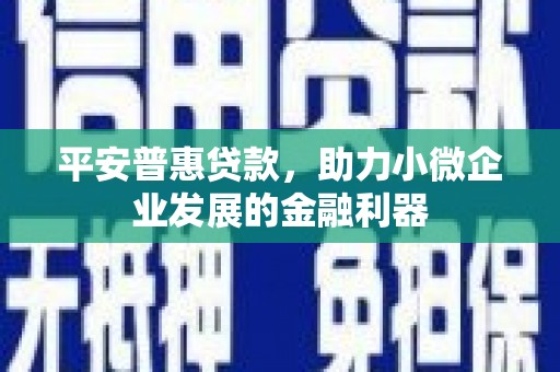陆川平安普惠贷款，助力小微企业发展的金融利器