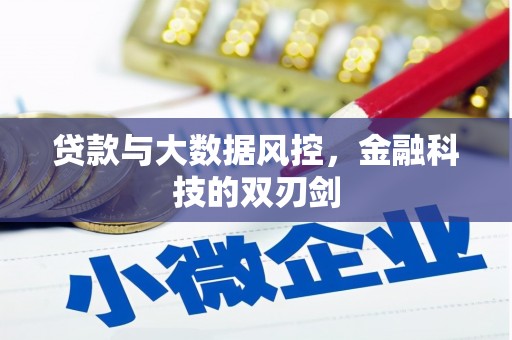 陆川贷款与大数据风控，金融科技的双刃剑