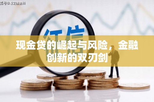 陆川现金贷的崛起与风险，金融创新的双刃剑
