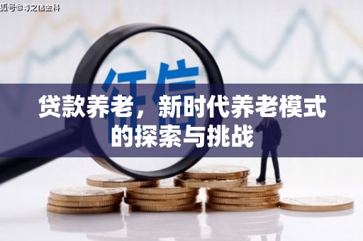陆川贷款养老，新时代养老模式的探索与挑战