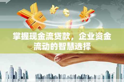 陆川掌握现金流贷款，企业资金流动的智慧选择