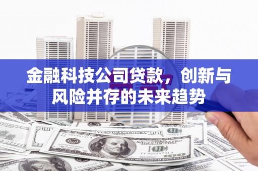 陆川金融科技公司贷款，创新与风险并存的未来趋势