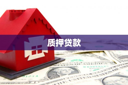 陆川质押贷款
