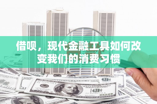 陆川借呗，现代金融工具如何改变我们的消费习惯