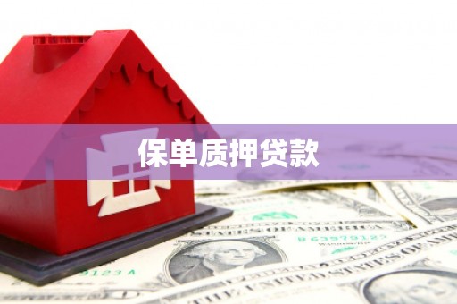 陆川保单质押贷款