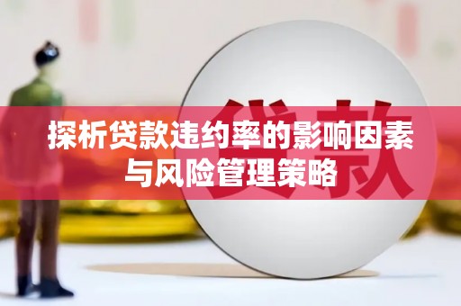 陆川探析贷款违约率的影响因素与风险管理策略